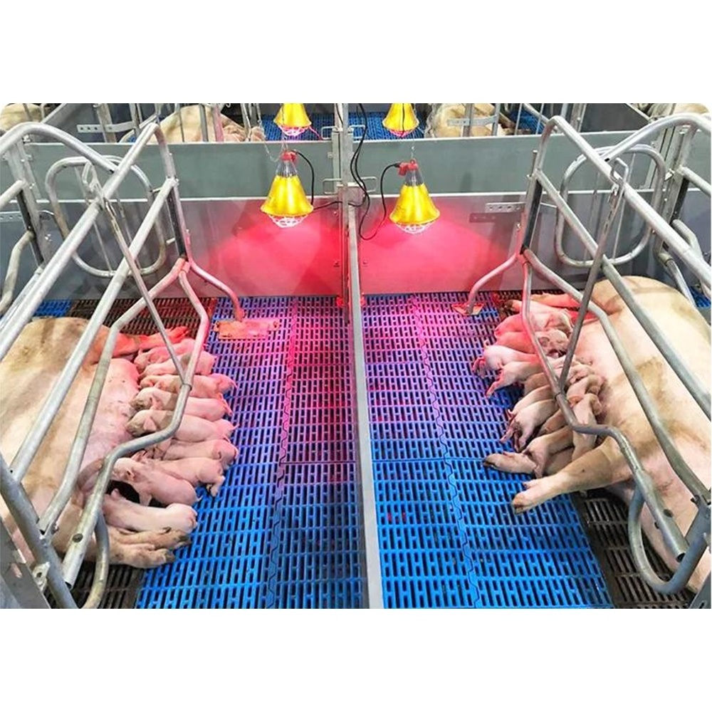 High quality pig farrowing stalls pig bed sow birthing pen for sale