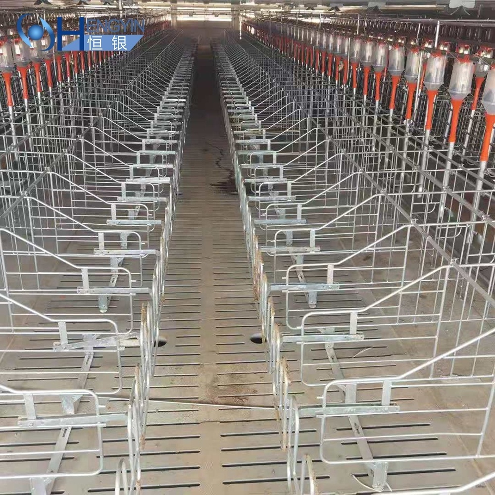 piggery equipment pig farm cage farrowing crates and gestation stall for sales