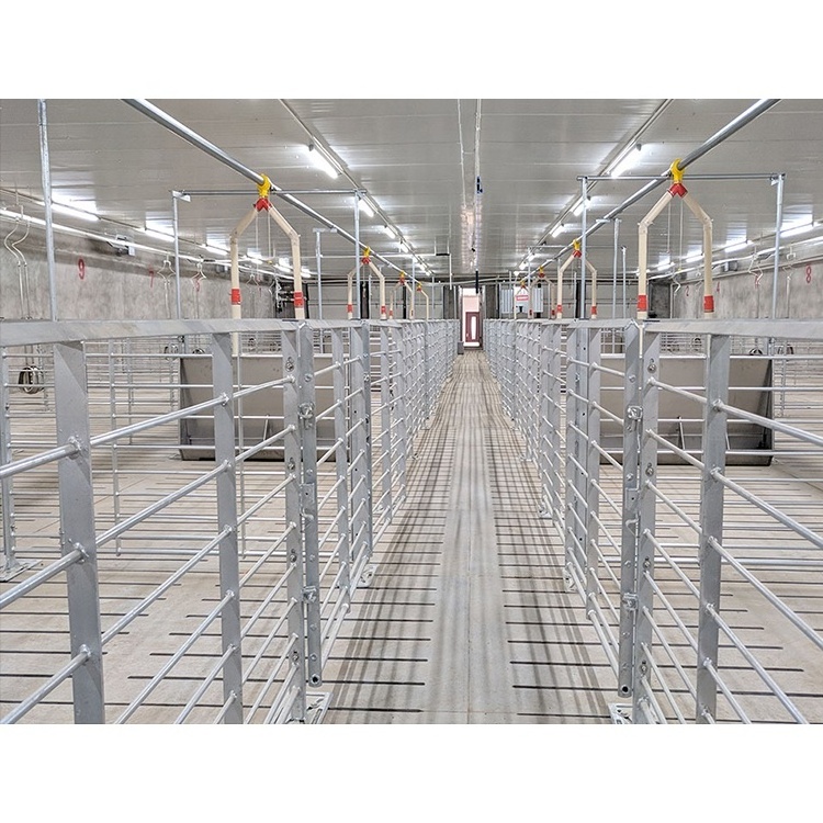 Factory direct pig farm equipment pig fattening pen finishing crates hot dip galvanized steel animal cages