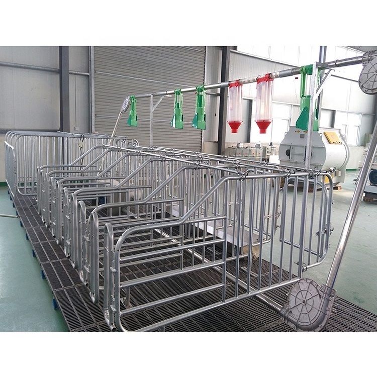 Factory Pig Farming Equipment Pig Pen Sow Gestation Crate for Sale Hot DIP Galvanized Sow Gestation Cage