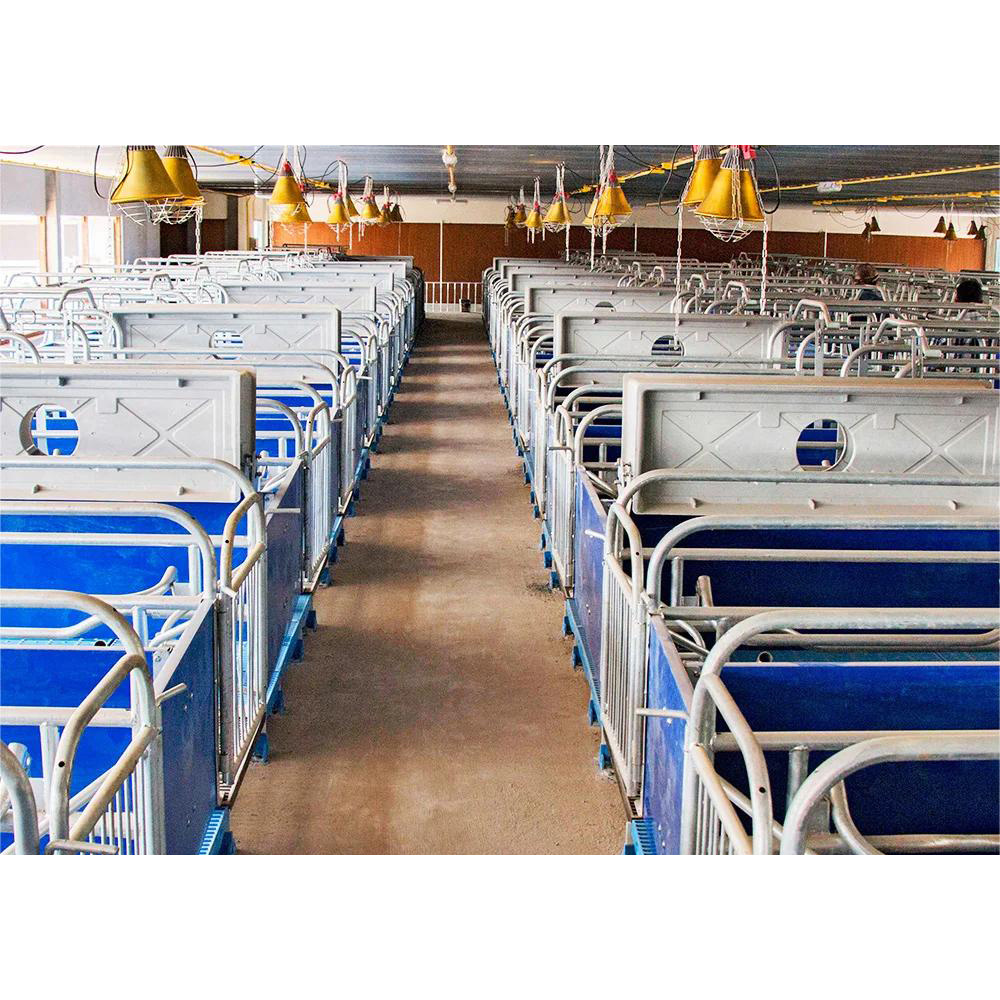 china high quality livestock farm equipment fattening finishing pig pen/ crate