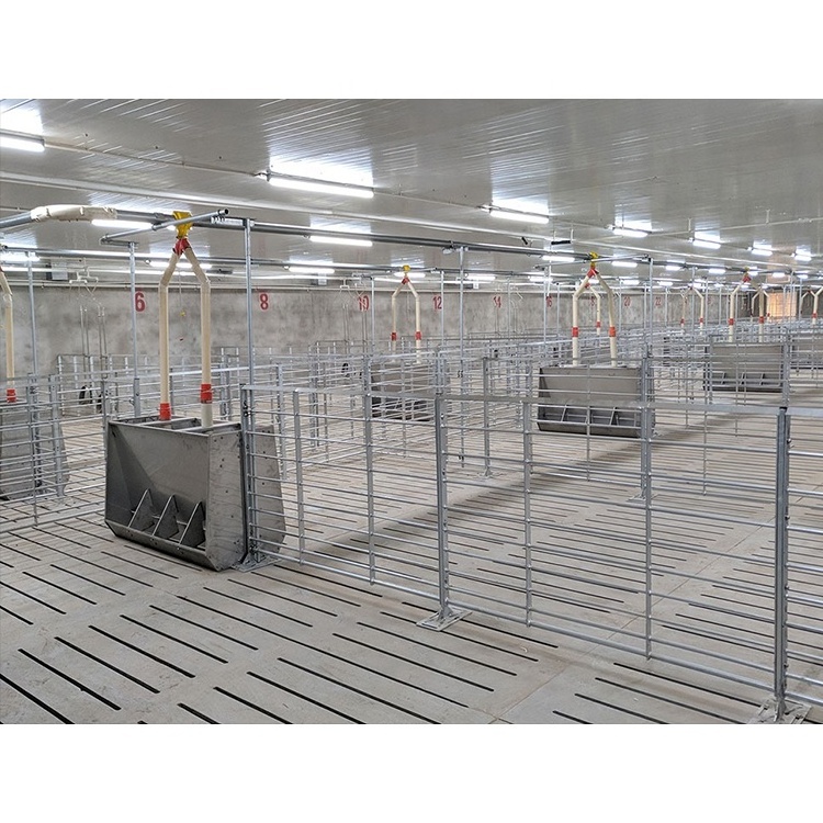 piggery farm equipment fattening pig crates galvanized steel stall pig cages for fattening pig pen