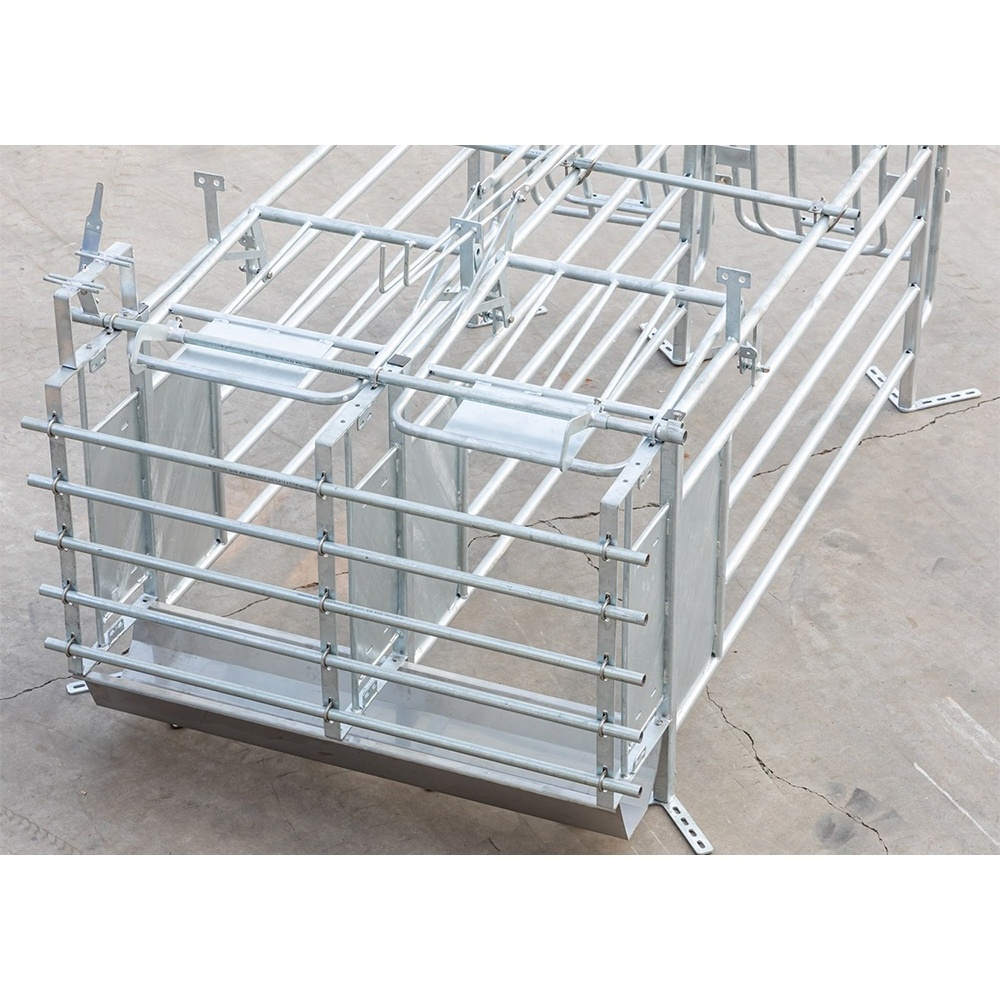 Factory Pig Farming Equipment Pig Pen Sow Gestation Crate for Sale