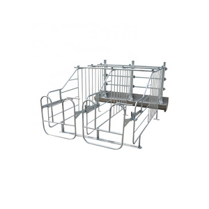 Gestation Crate Pig Crate Pig Farming Equipment Gestation Crate Gestation Stalls For Sow