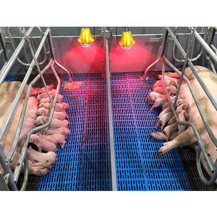 piggery equipment pig farm cage farrowing crates and gestation stall for sales