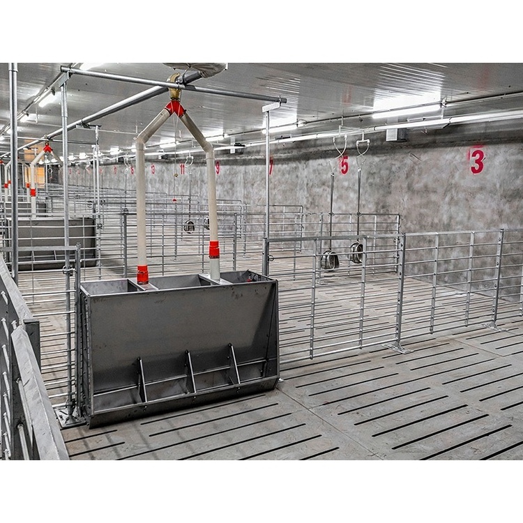 piggery farm equipment fattening pig crates galvanized steel stall pig cages for fattening pig pen