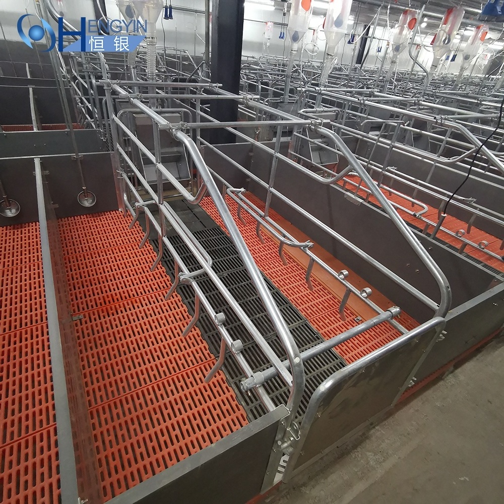 piggery equipment pig farm cage farrowing crates and gestation stall for sales