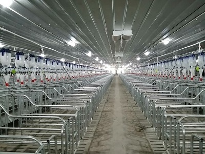 Factory direct pig farm equipment pig fattening pen finishing crates hot dip galvanized steel animal cages