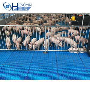 wholesale price livestock equipment piggery equipment piglet cages for piglet pig nursery crate