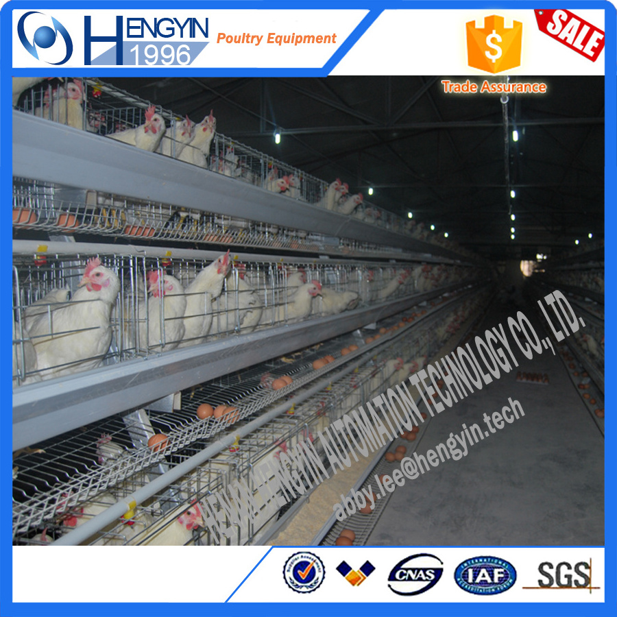 Newest promotion used chicken cage/ hen coops agricultural equipment broiler chicken cage