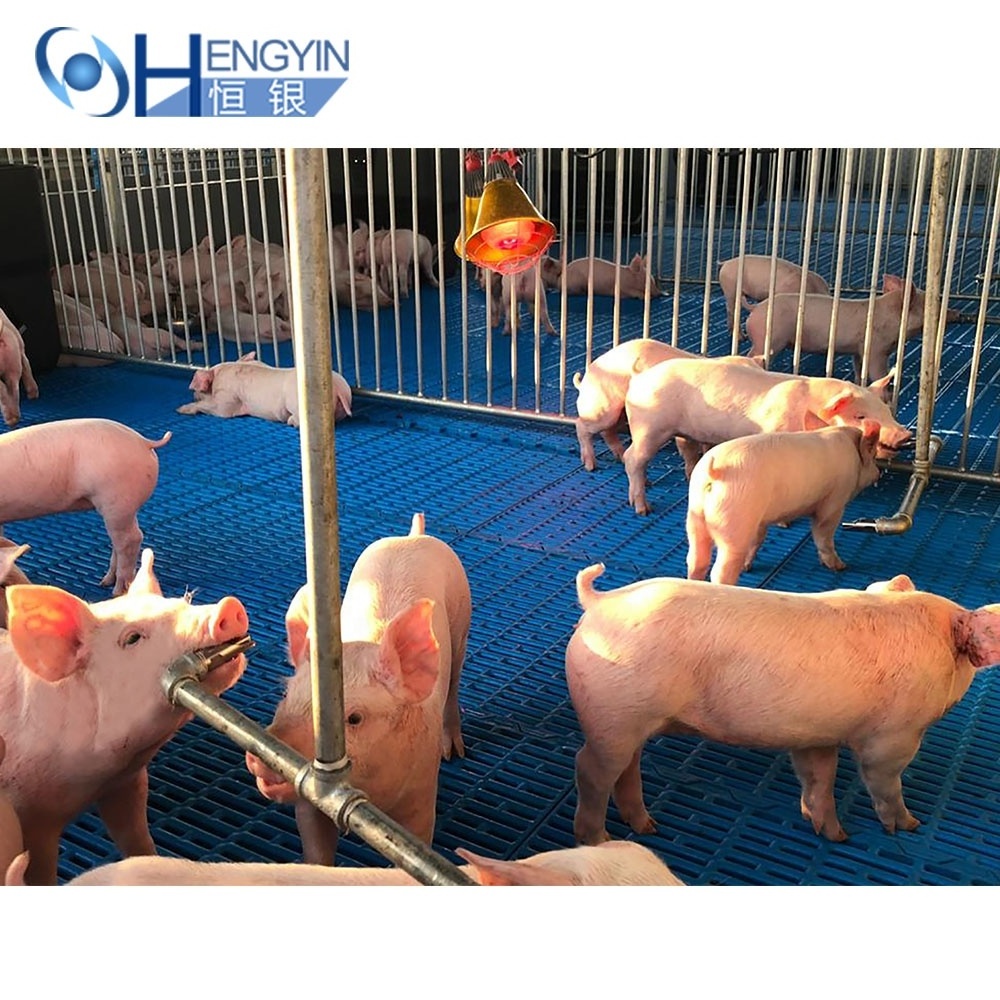 Factory direct selling hog nursery pen weaner crate for piggery animal cages farm equipment for piglet