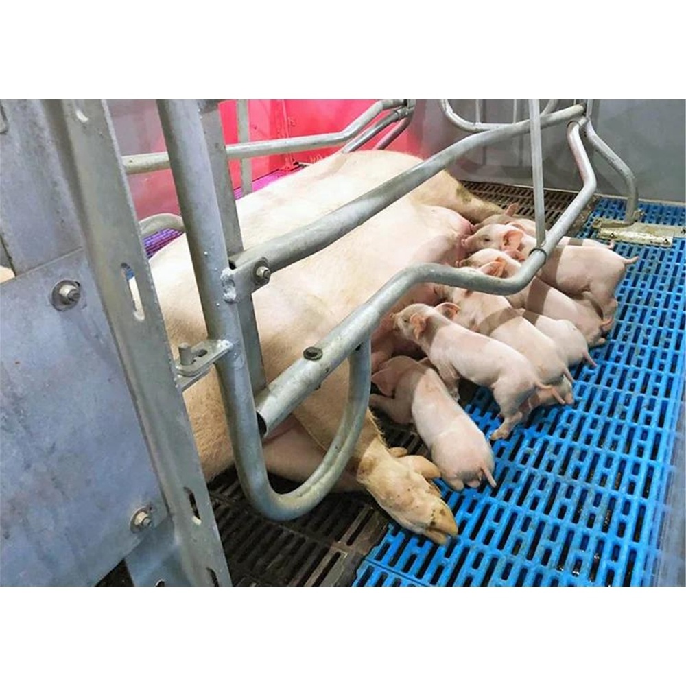 High quality pig farrowing stalls pig bed sow birthing pen for sale