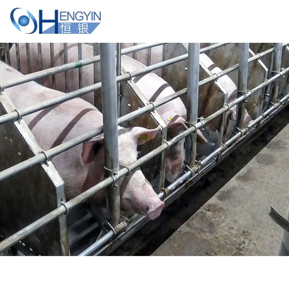 Gestation Crate Pig Crate Pig Farming Equipment Gestation Crate Gestation Stalls For Sow