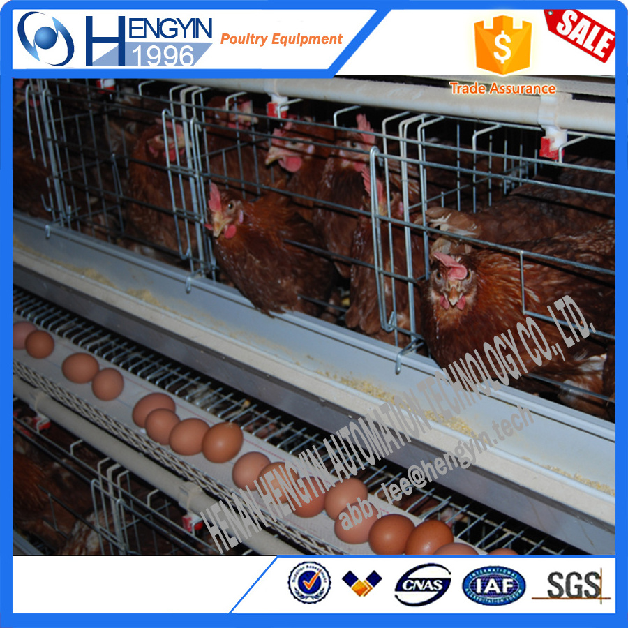 Newest promotion used chicken cage/ hen coops agricultural equipment broiler chicken cage