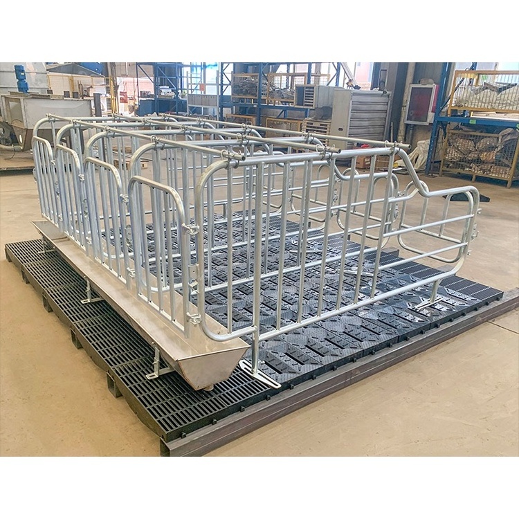 Factory Pig Farming Equipment Pig Pen Sow Gestation Crate for Sale Hot DIP Galvanized Sow Gestation Cage