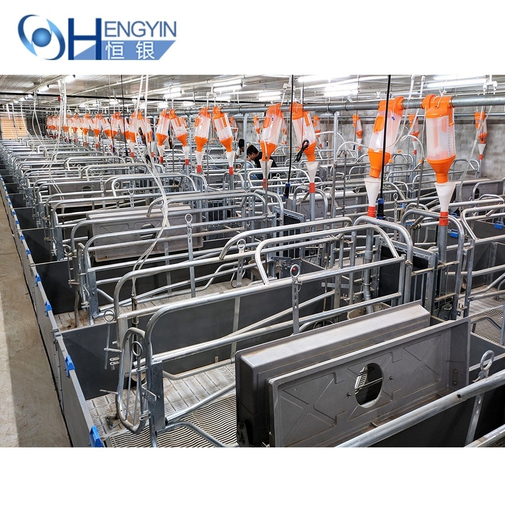 lowest price agricultural machinery & equipment farrowing pen pig farm sow farrowing cage for pig farm