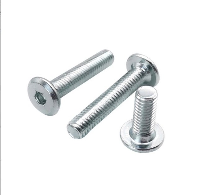 Popular Screw Spy Camera Cross Pan Head Metric M4 Machine Screw Hand Screw Lock Furniture Fasteners Stainless Steel Door Bolt