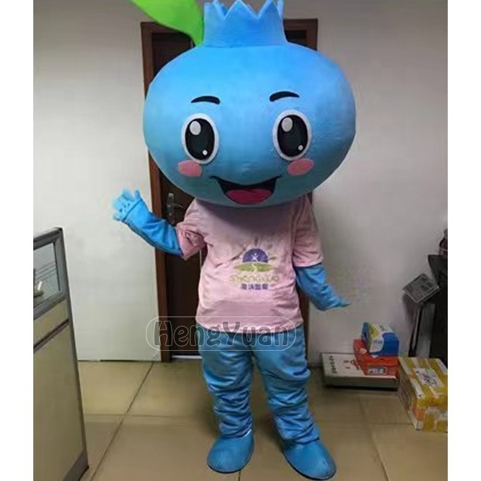 Hengyuan Colorful Fruits Blueberry Apple Fruit Cartoon Mascot Costume for Sale