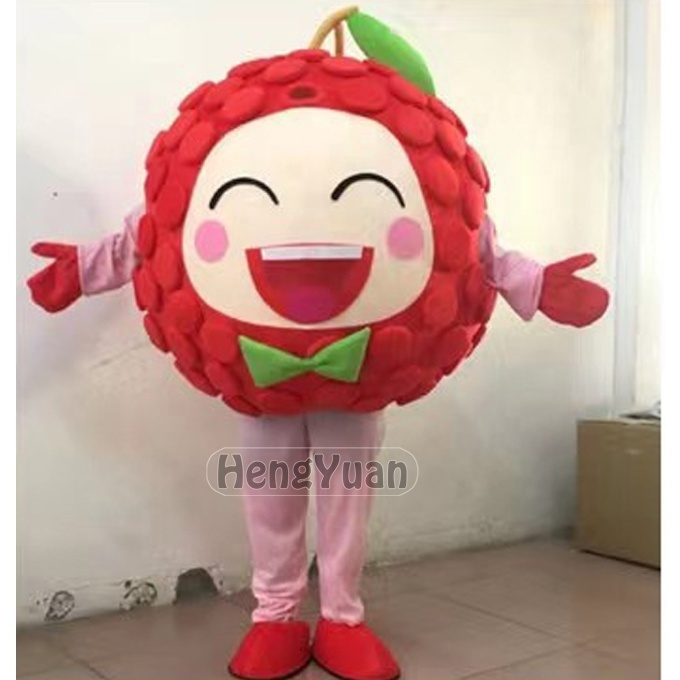 Hengyuan Colorful Fruits Blueberry Apple Fruit Cartoon Mascot Costume for Sale