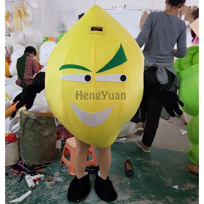 Hengyuan Fruit Vegetable Food Pepper Tomato Plush Mascot Costumes Cartoon Character Party Holidays Halloween Fruit Mascot