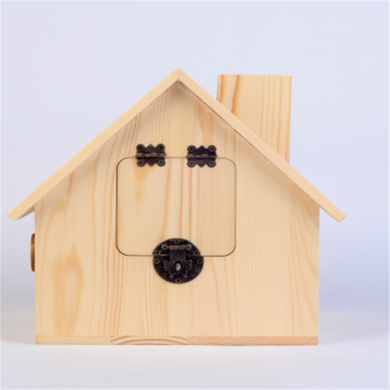 Decorative Wooden Shadow Box Frame High Quality Coin Bank Piggy Banks for Adults Natural Wooden Money Box