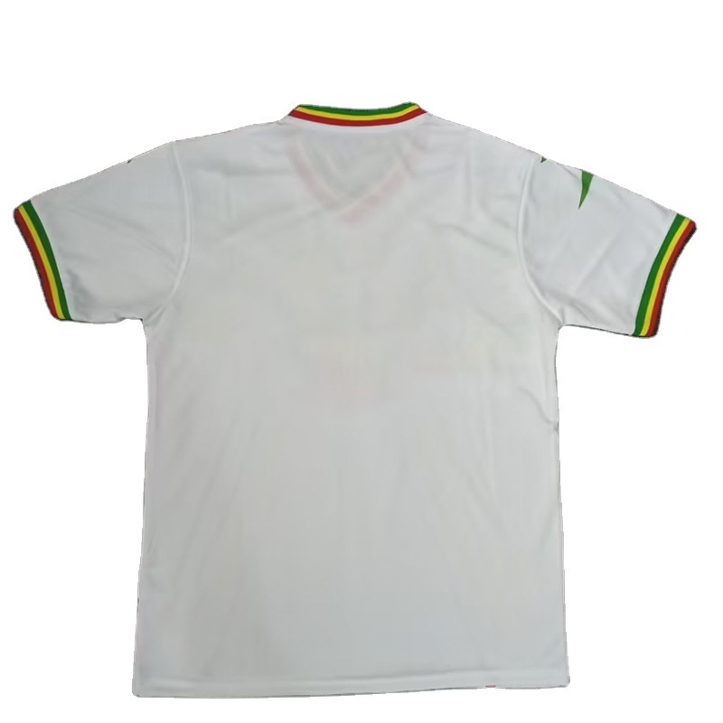 High Quality fans Version Jersey Custom Mali Football Club Maillot De Mali Soccer Jersey