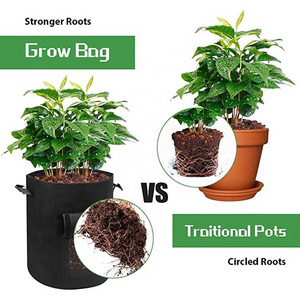 Hot Selling Tree Seeding Pot Fruit Fabric Plant Pots Flower Pot 5/7/10 Gallon High Capacity Grow Bags for Planting Vegetables