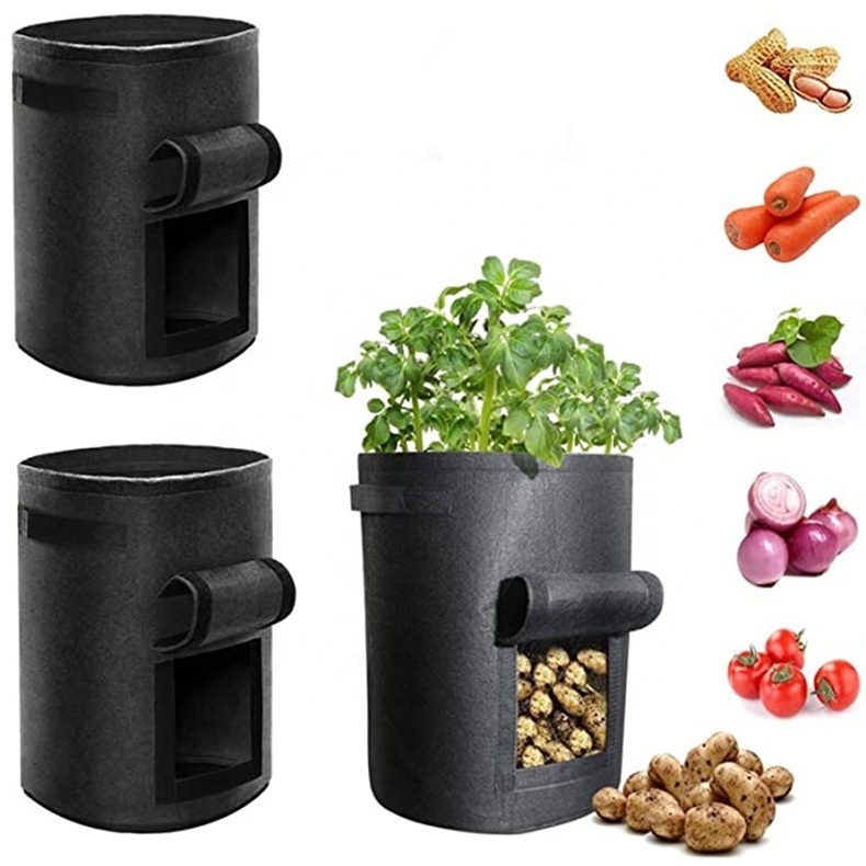 Hot Selling Tree Seeding Pot Fruit Fabric Plant Pots Flower Pot 5/7/10 Gallon High Capacity Grow Bags for Planting Vegetables