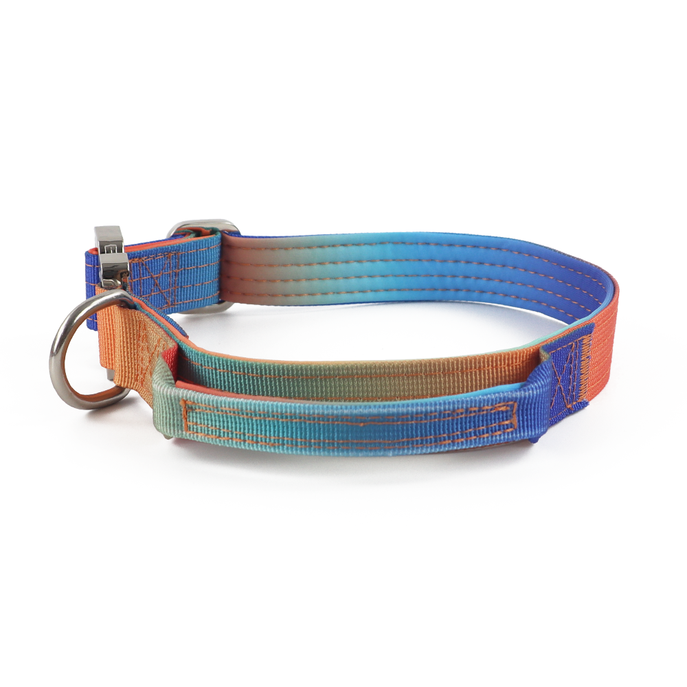 Gradient Heavy Duty Rainbow Metal 2-inch Tactical Dog Collar Combat Buckle With Comfort Neoprene Dog Collar For Training