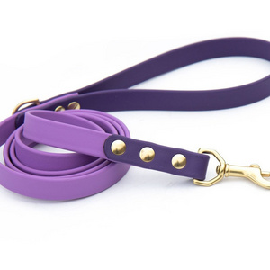 Hot Sale PVC Solid Rubber Silicone Coated Webbing Pet Leash 100% Waterproof New Design Carabiner Dog Leash