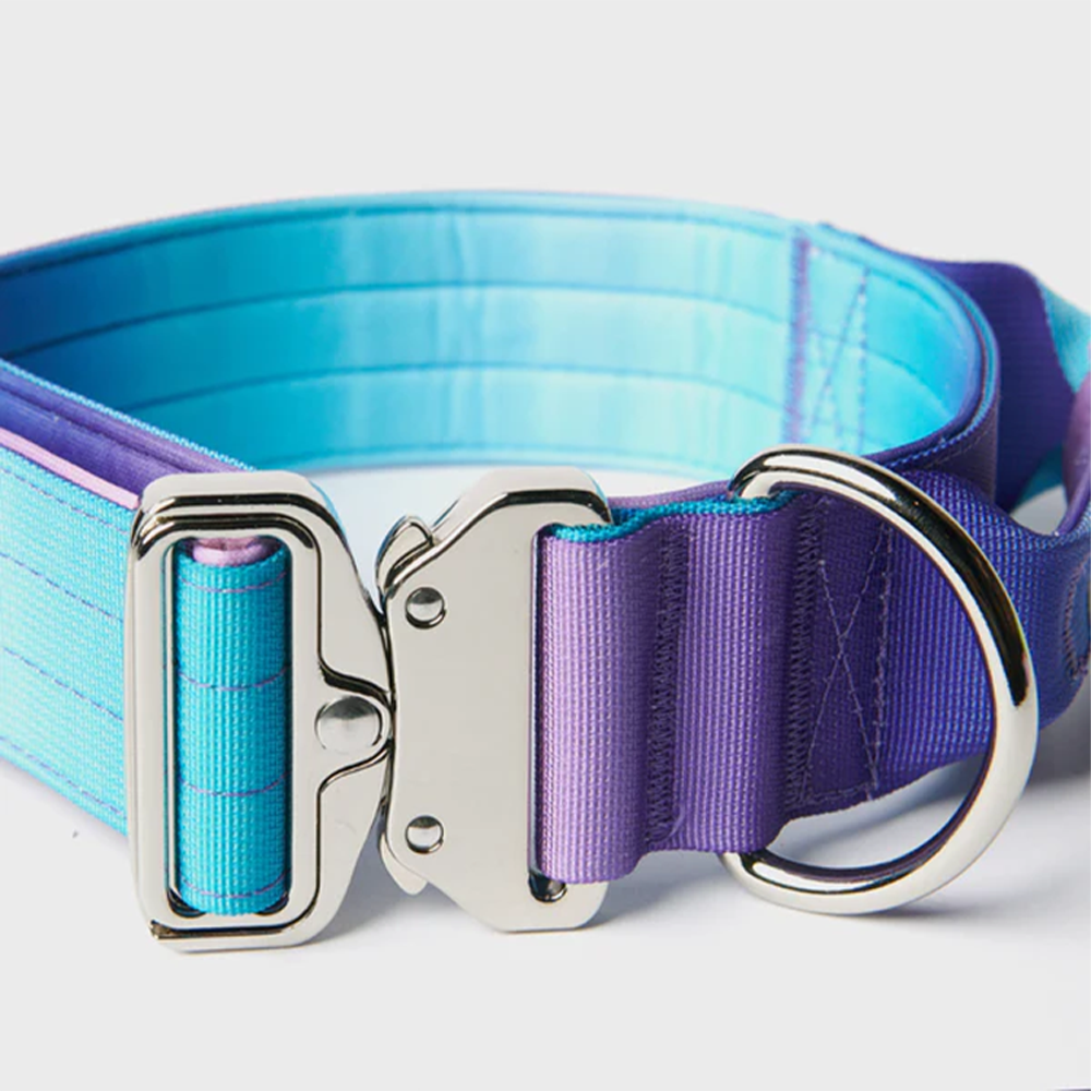 Gradient Heavy Duty Rainbow Metal 2-inch Tactical Dog Collar Combat Buckle With Comfort Neoprene Dog Collar For Training