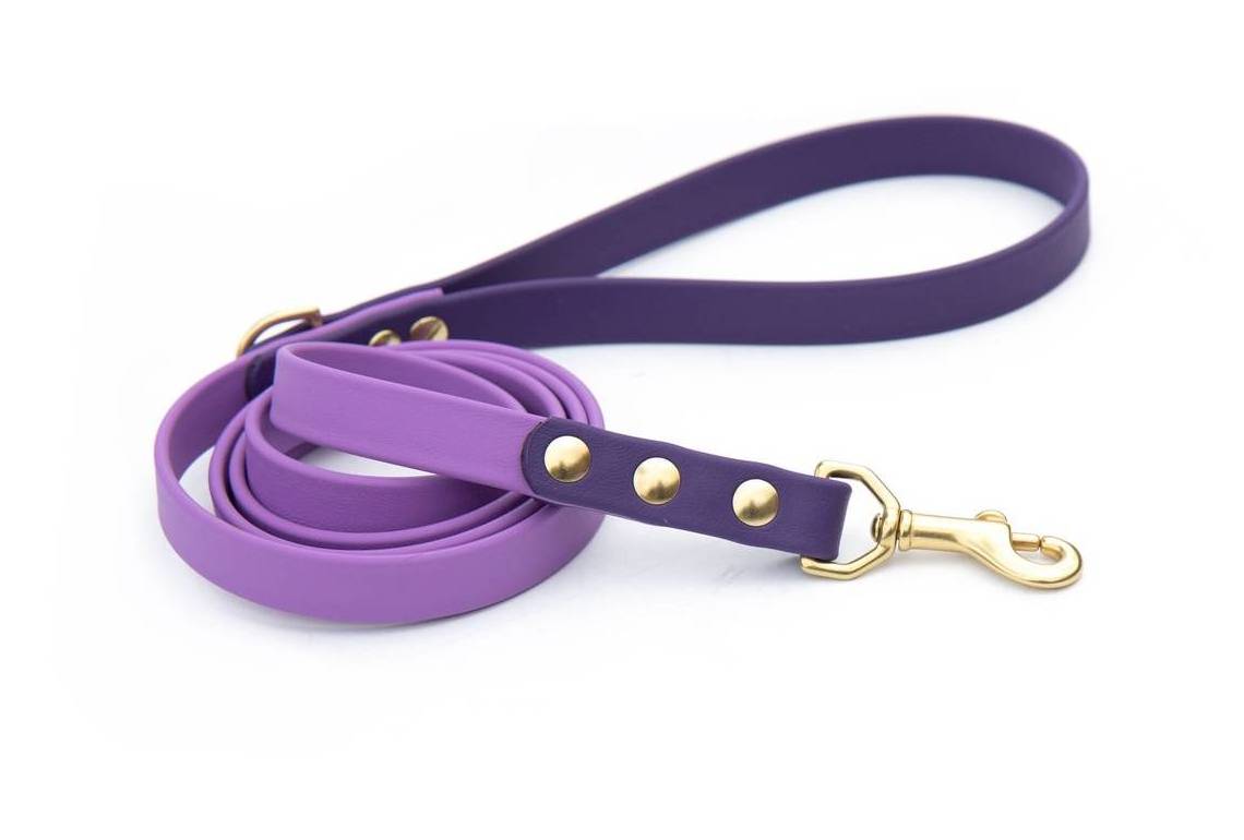 Hot Sale PVC Solid Rubber Silicone Coated Webbing Pet Leash 100% Waterproof New Design Carabiner Dog Leash