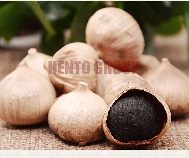 China Black Garlic Seeds from Direct Factory