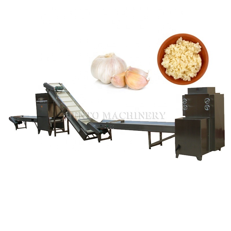 Garlic Processing Machines / Garlic Peeling Machine Production Line