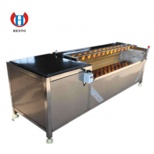 Potatoes Washing and Peeling Machine / Potato Peeling Machine