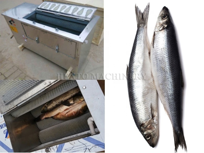 Hot Sale Fish Processing Equipment / Scaler Fish Processing Machines / Fish Scale Remover