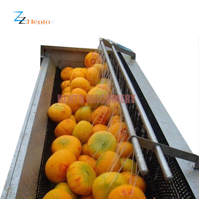 Potatoes Washing and Peeling Machine / Potato Peeling Machine