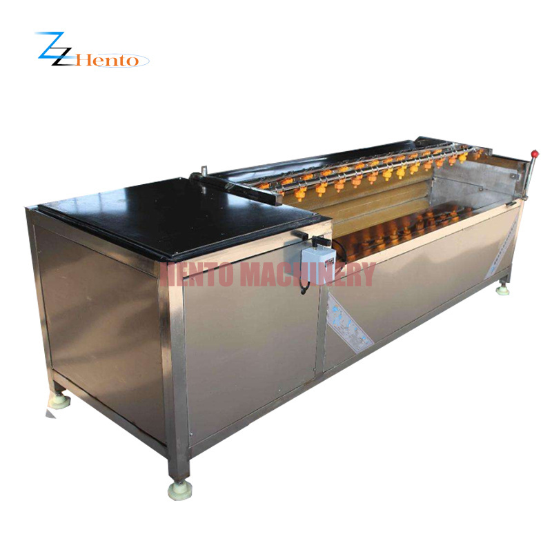 Potatoes Washing and Peeling Machine / Potato Peeling Machine