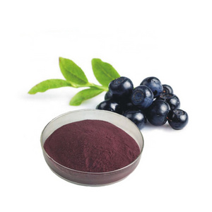 High Quality Aronia Extract Powder Aronia Berry Extract Powder with Anthocyanin