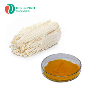 Best price natural halal certif Enoki Mushroom extract