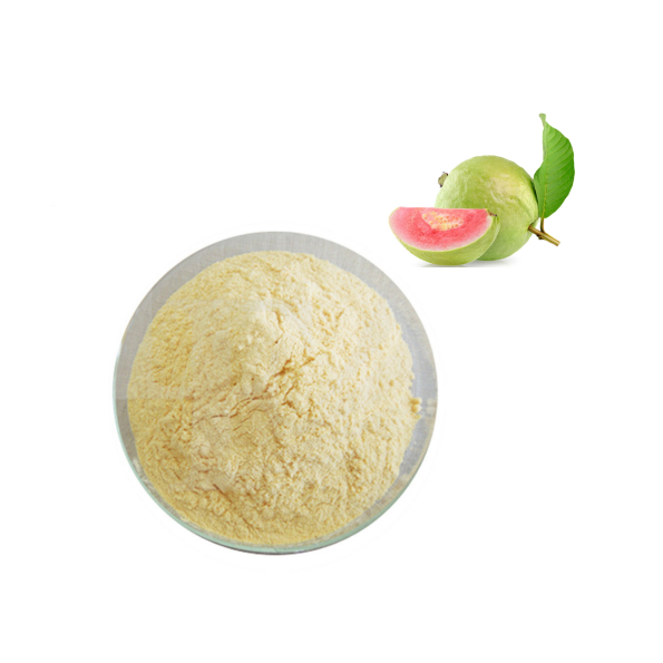 ISO Certification Guava Fruit Powder Organic Guava Fruit Powder High Quality Guava Powder