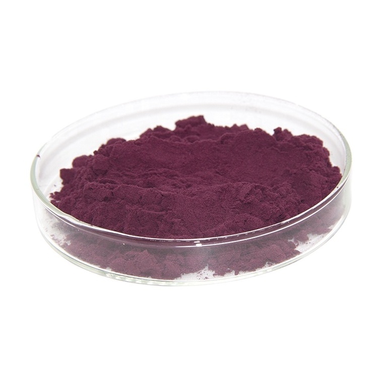 High Quality Aronia Extract Powder Aronia Berry Extract Powder with Anthocyanin