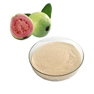 Top Quality And Lowest Price Natural Guava Fruit Fresh Guava Powder Pure Guava Fruit Powder