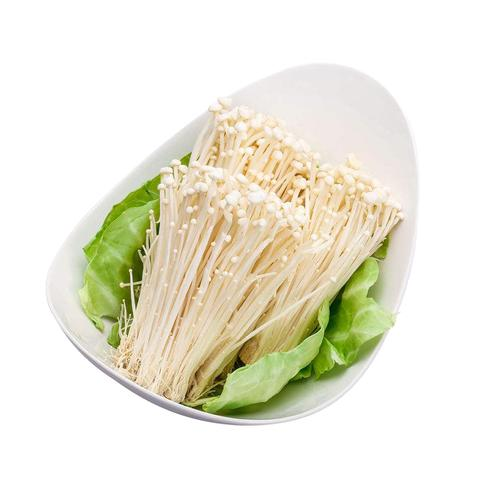 Best price natural halal certif Enoki Mushroom extract