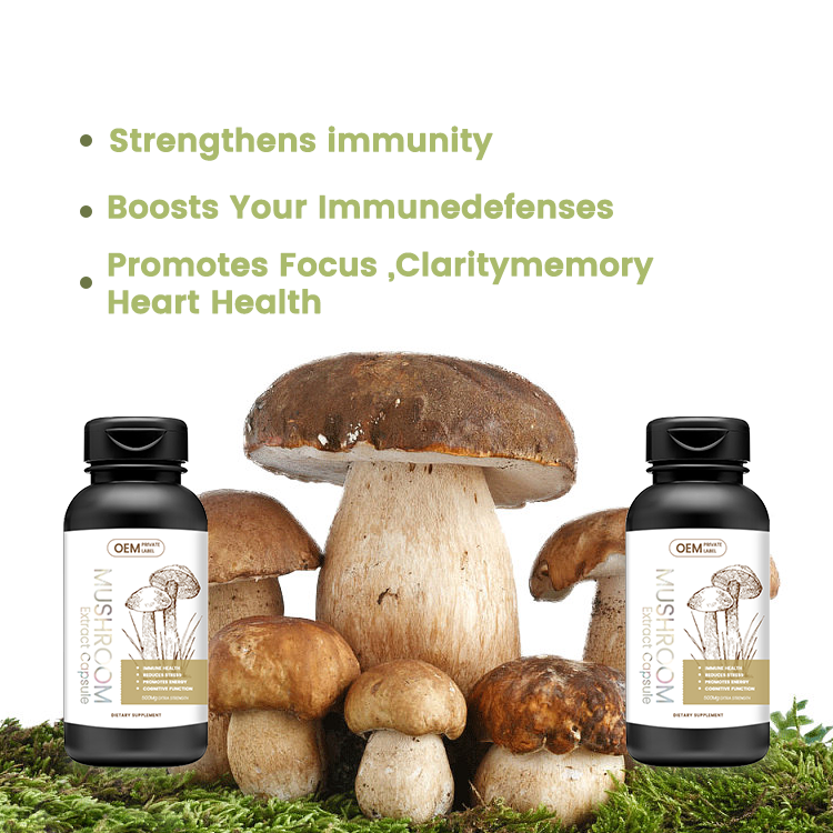 Factory Mushroom Capsules Reishi Lion's Mane Mushroom Extract Ganoderma Lucidum Capsule