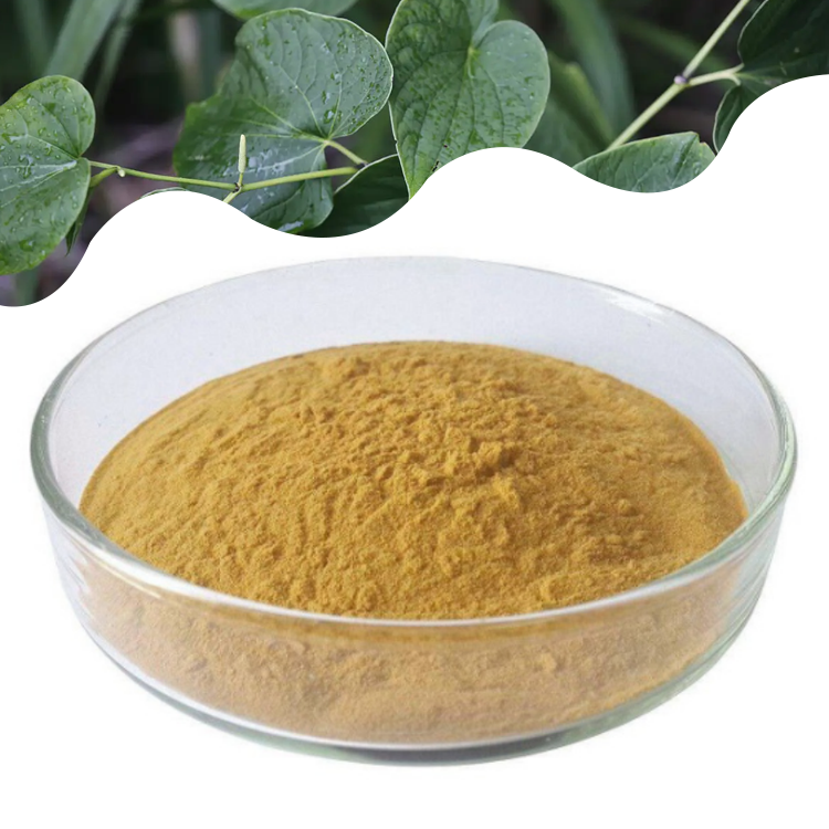 Herbasea Wholesale Bulk Kava Root Extract 10% 30% 70% Kava Extract Kavalactone Kava Extract Powder