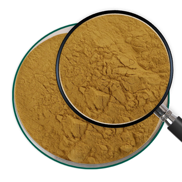 Herbasea Wholesale Bulk Kava Root Extract 10% 30% 70% Kava Extract Kavalactone Kava Extract Powder