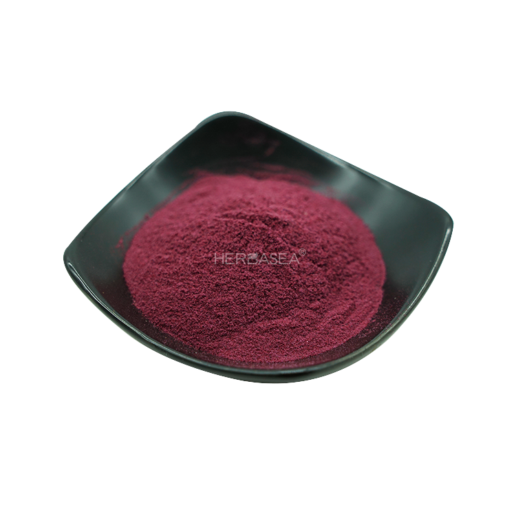 Herbasea 100% Pure Botanical Black Berry Extract Anthocyanin Blackberry Fruit Powder