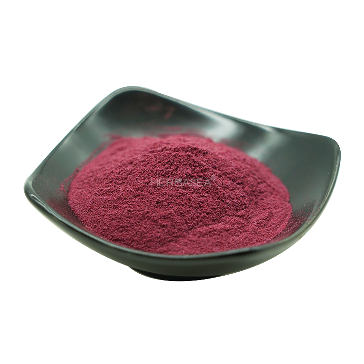 Herbasea 100% Pure Botanical Black Berry Extract Anthocyanin Blackberry Fruit Powder