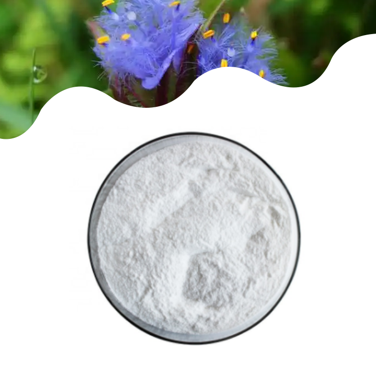 HERBASEA Beta Ecdysterone Powder 98% Cyanotis Vaga Extract